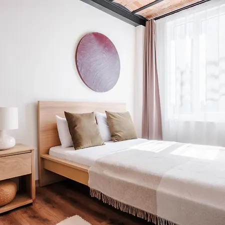 Flat W City View Near Galata Tower In Istiklal Ave Apartment Istanbul